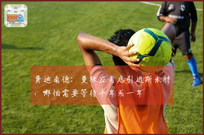 费迪南德：曼联应考虑引进斯米特，哪怕需要等待半年或一年
